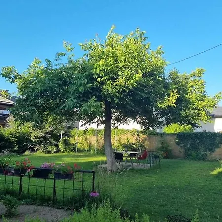 Campingplatz Camping Under The Walnut In Your Own Tent On A Shared Lot And Shared Bathroom Laibach