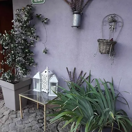 Camping Under The Walnut In Your Own Tent On A Shared Lot And Shared Bathroom Campsite Ljubljana