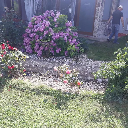 Camping Under The Walnut In Your Own Tent On A Shared Lot And Shared Bathroom Campingplatz *