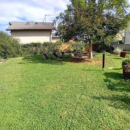 Campingplatz Camping Under The Walnut In Your Own Tent On A Shared Lot And Shared Bathroom Laibach