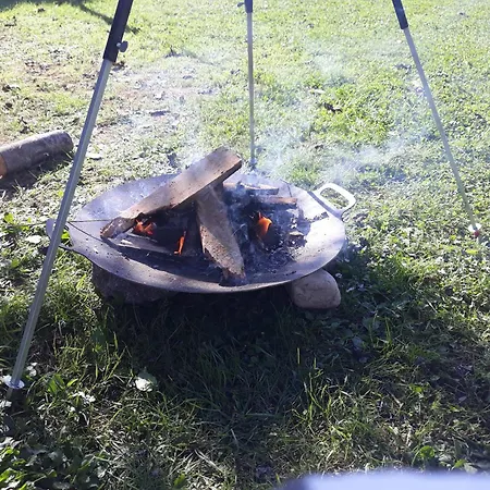 Camping Under The Walnut In Your Own Tent On A Shared Lot And Shared Bathroom Campingplatz