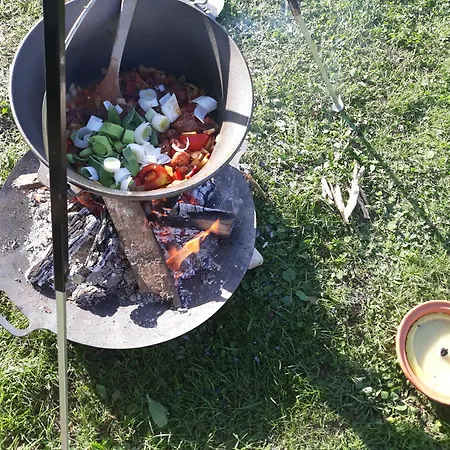 Camping Under The Walnut In Your Own Tent On A Shared Lot And Shared Bathroom Campsite