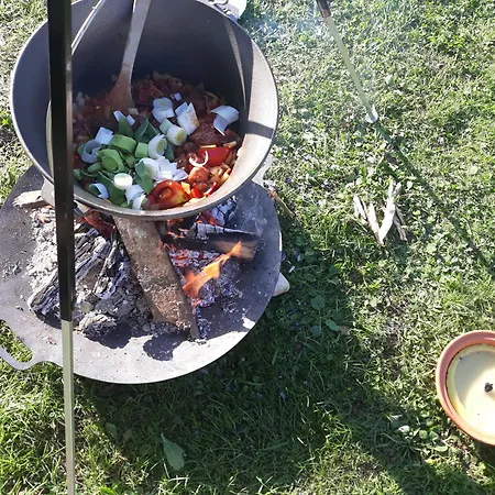 Camping Under The Walnut In Your Own Tent On A Shared Lot And Shared Bathroom Campingplatz
