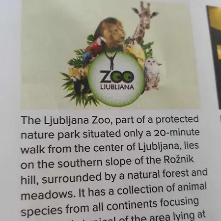 Campingplatz Camping Under The Walnut In Your Own Tent On A Shared Lot And Shared Bathroom