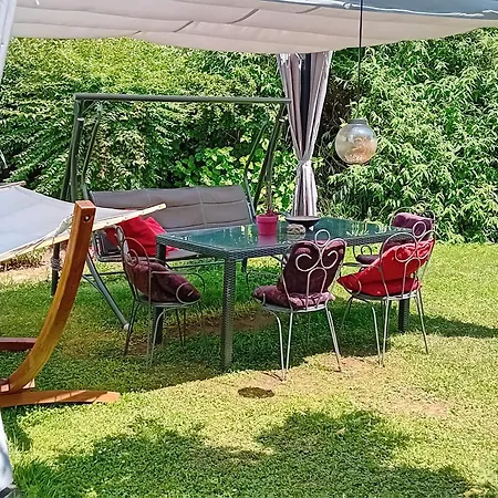 Camping Under The Walnut In Your Own Tent On A Shared Lot And Shared Bathroom Campsite