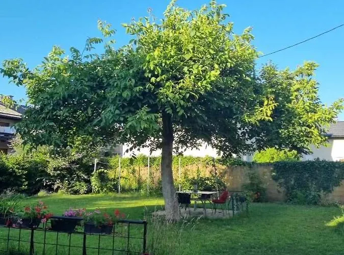 Kemping Camping Under The Walnut In Your Own Tent On A Shared Lot And Shared Bathroom Lublana