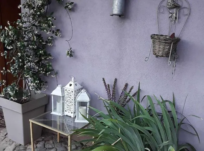 Camping Under The Walnut In Your Own Tent On A Shared Lot And Shared Bathroom Kemping Lublana