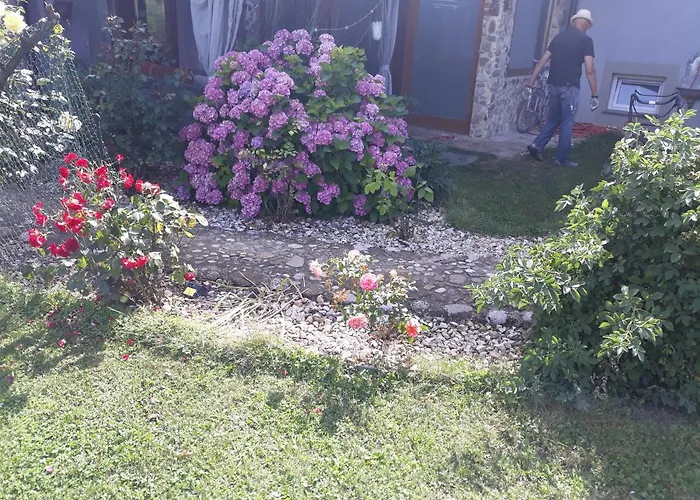 Camping Under The Walnut In Your Own Tent On A Shared Lot And Shared Bathroom Kemping *