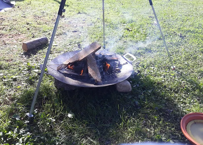 Camping Under The Walnut In Your Own Tent On A Shared Lot And Shared Bathroom Kemping