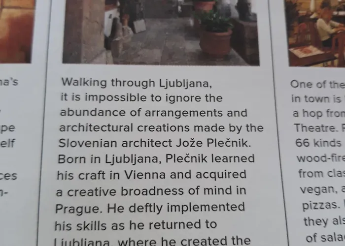 Camping Under The Walnut In Your Own Tent On A Shared Lot And Shared Bathroom Kemping