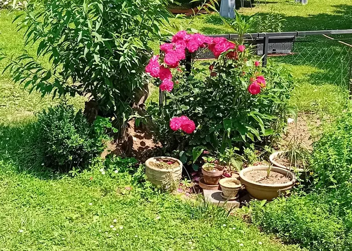 Kemping Camping Under The Walnut In Your Own Tent On A Shared Lot And Shared Bathroom