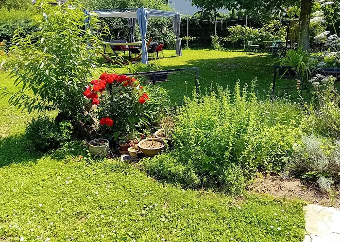 Camping Under The Walnut In Your Own Tent On A Shared Lot And Shared Bathroom Kemping Lublana