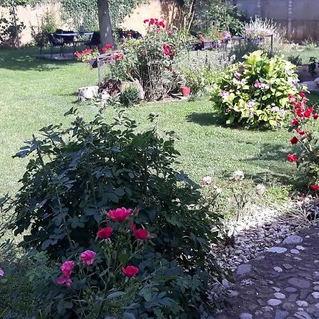 Camping Under The Walnut In Your Own Tent On A Shared Lot And Shared Bathroom *